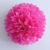 Hot Pink Party Decoration Paper Flower Tissue Paper Pom Poms Balls Craft
