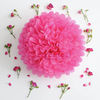 Hot Pink Party Decoration Paper Flower Tissue Paper Pom Poms Balls Craft